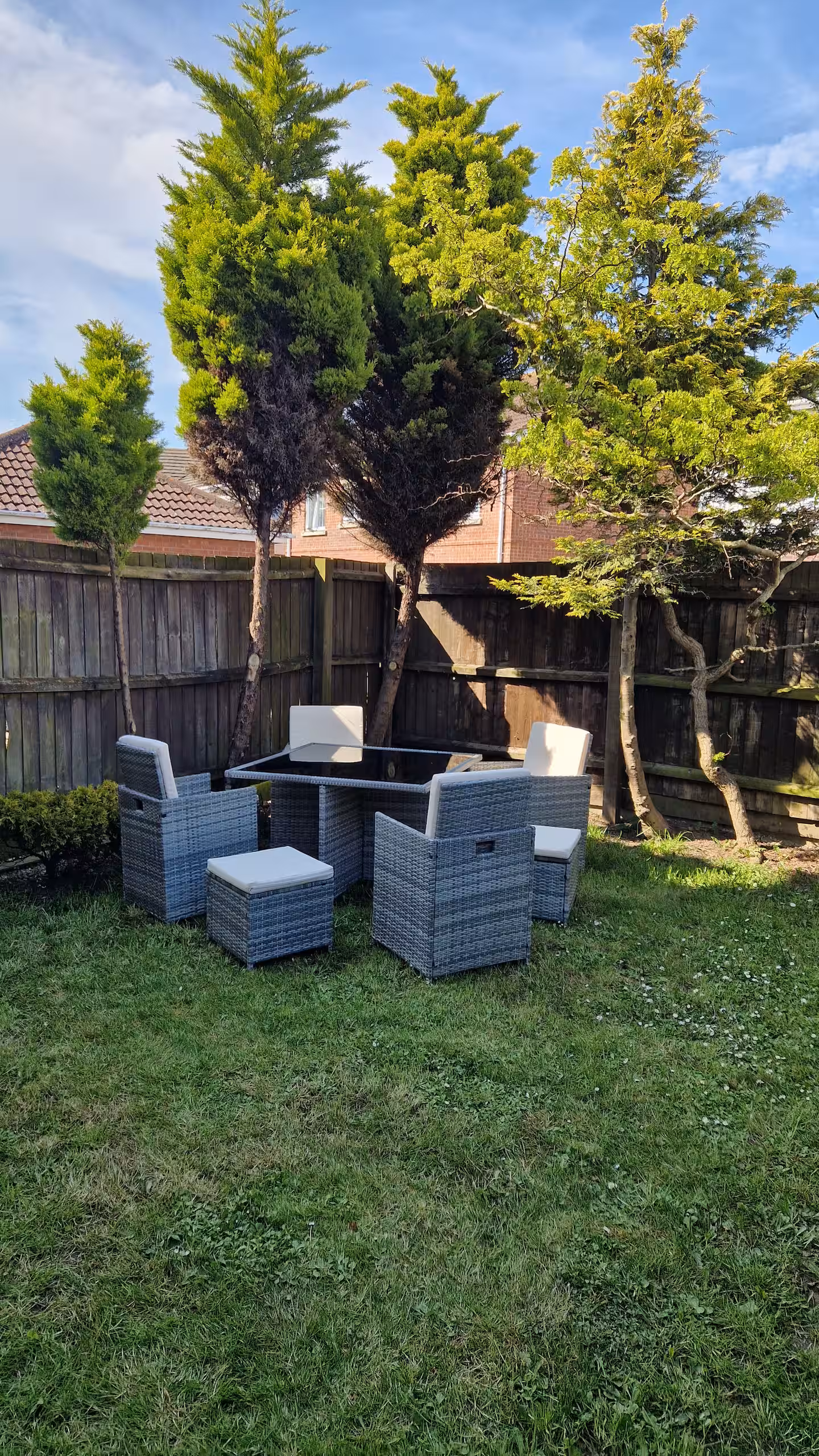 Back garden